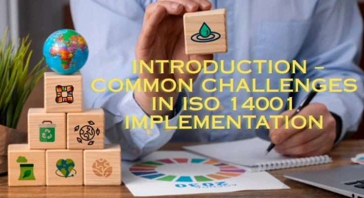 ISO 14001 environmental management system